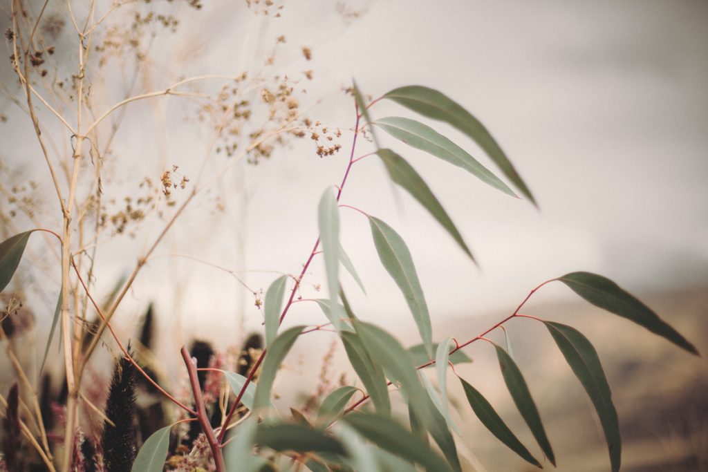 magnolia_rouge_editorial-1